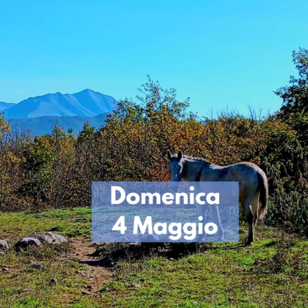 Nespolo: lungo i cippi di confine. Trekking e Birra!