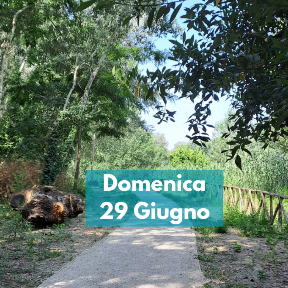 Camminata urbana con vista sul Tevere!
