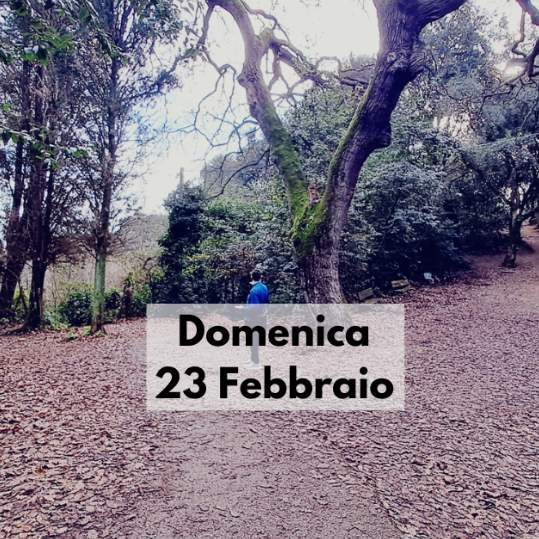 Roma dal punto più alto! Da Monte Ciocci a Monte Mario