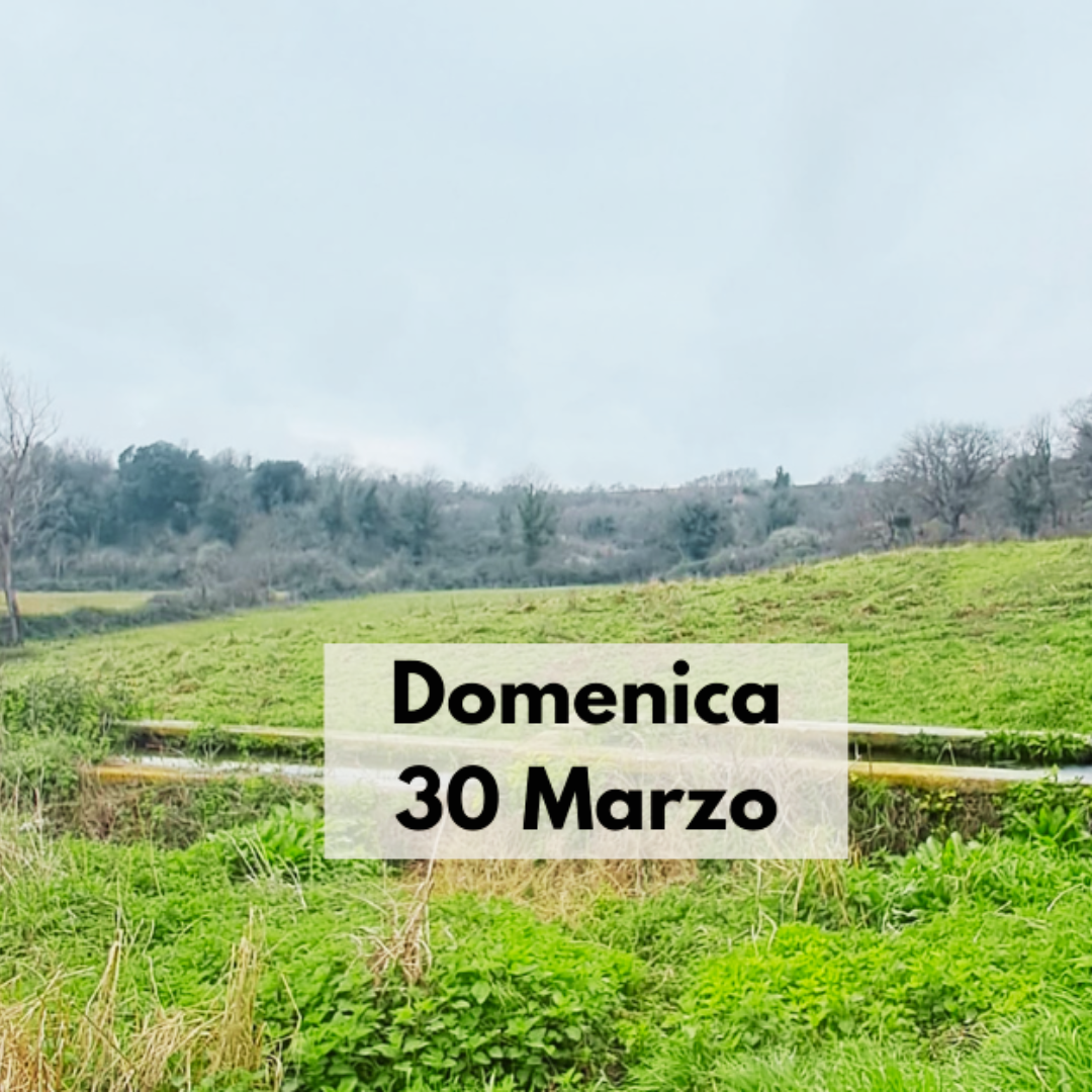 Parco di Veio da Isola Farnese