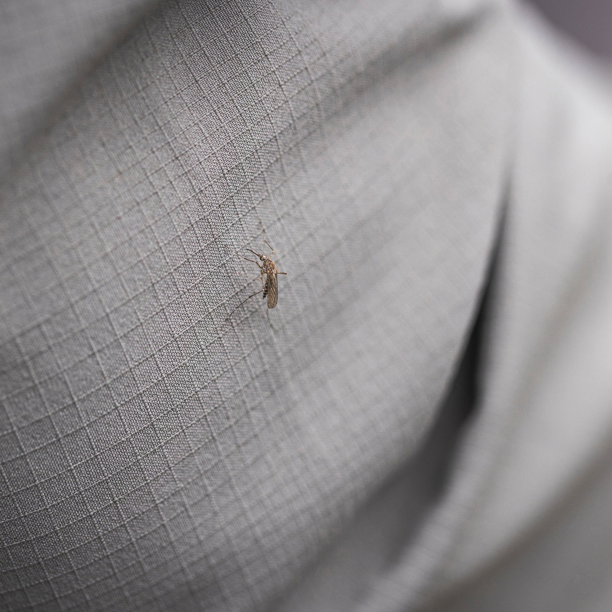 Expedition III L/S - Camicia da Uomo - Royal Robbins - BF Mountain Shop