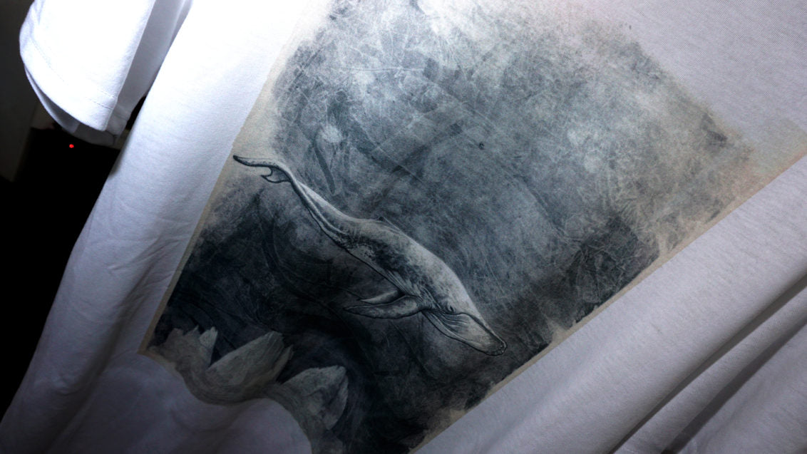 Balena Volante - BF MOUNTAIN - BF Mountain Shop