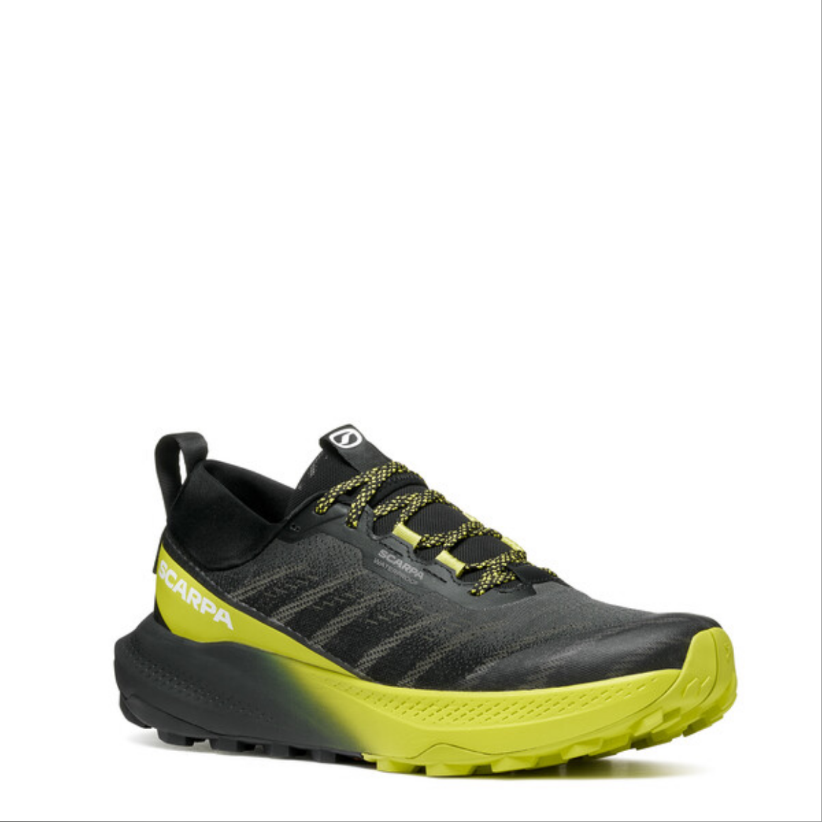 Scarpa da uomo trail running nordic walking- impermeabile Roma BF