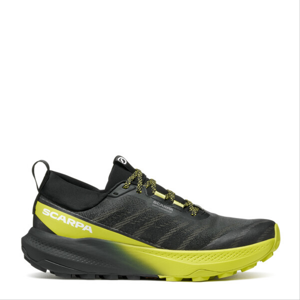 Scarpa da uomo trail running nordic walking- impermeabile Roma BF