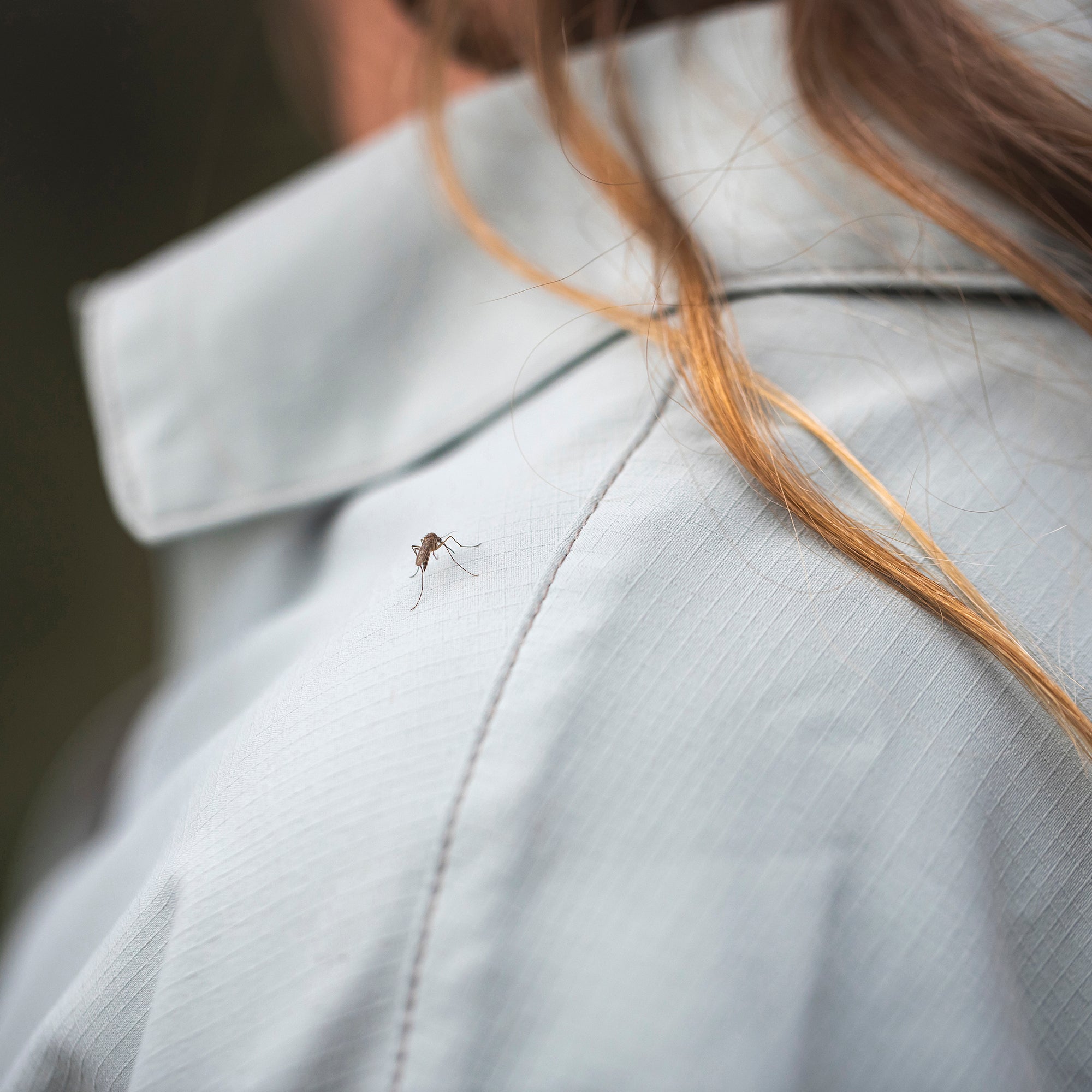 Camicia Expedition III L/S - BF Mountain Shop