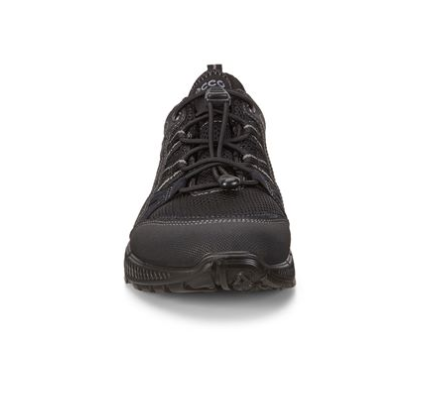 TERRACRUISE II GTX W - ICI